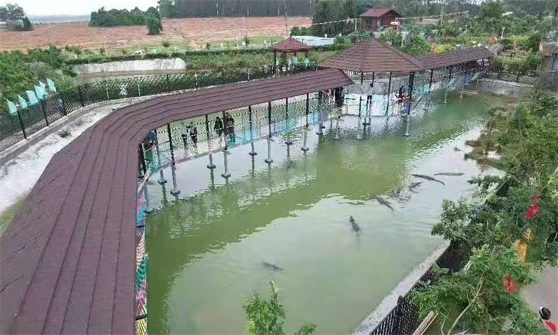 海南省東方市鳄珍鳄魚産(chǎn)業園玻璃棧道