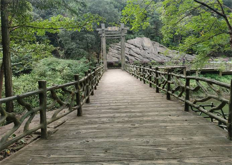 仿生棧道